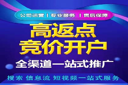 提升SEM投放转化率的实战案例分析